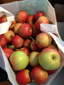 10710789_10152664011067702_2875142255248148089_n