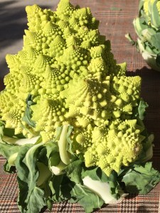 romanesco